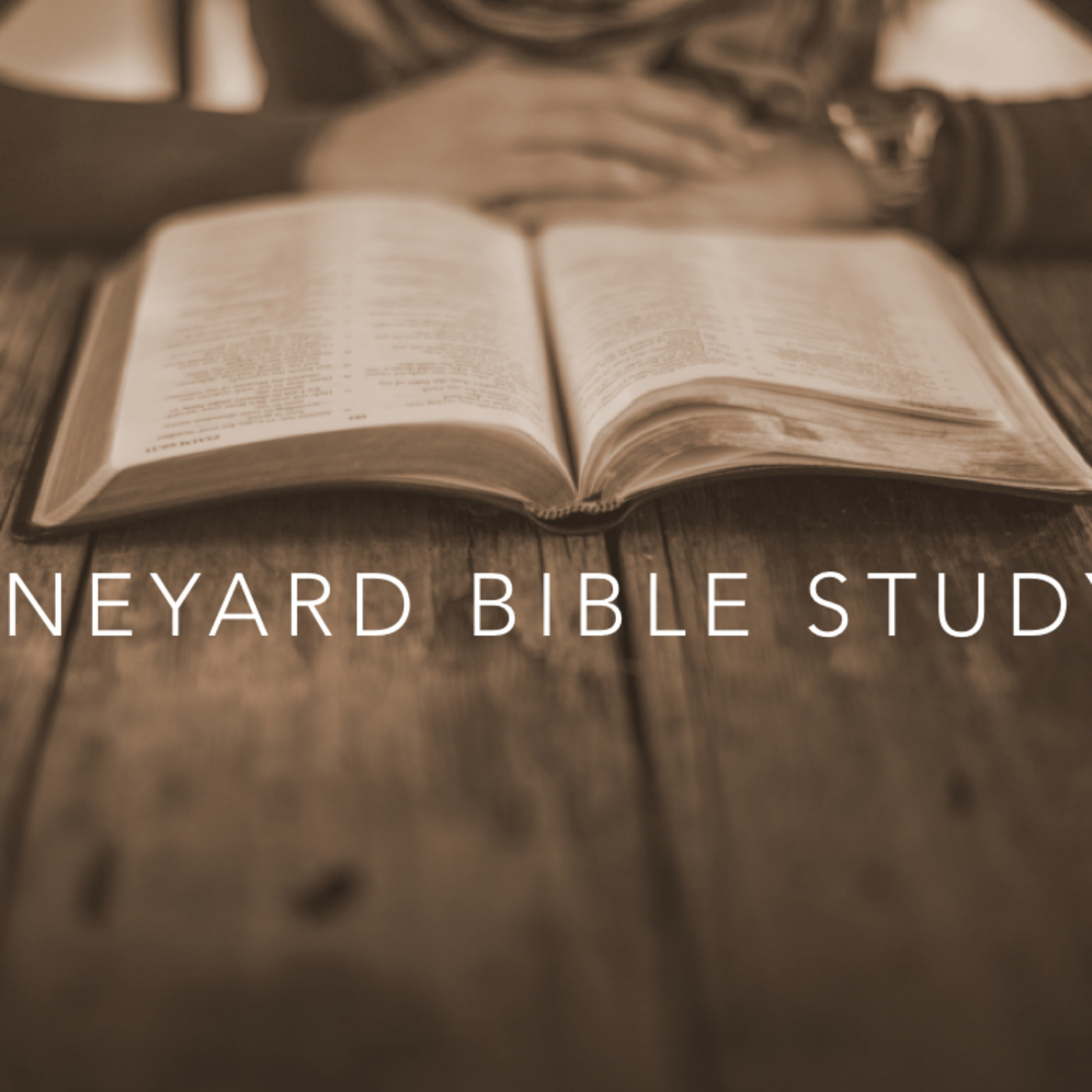 The Christmas Story: Vineyard Bible Study