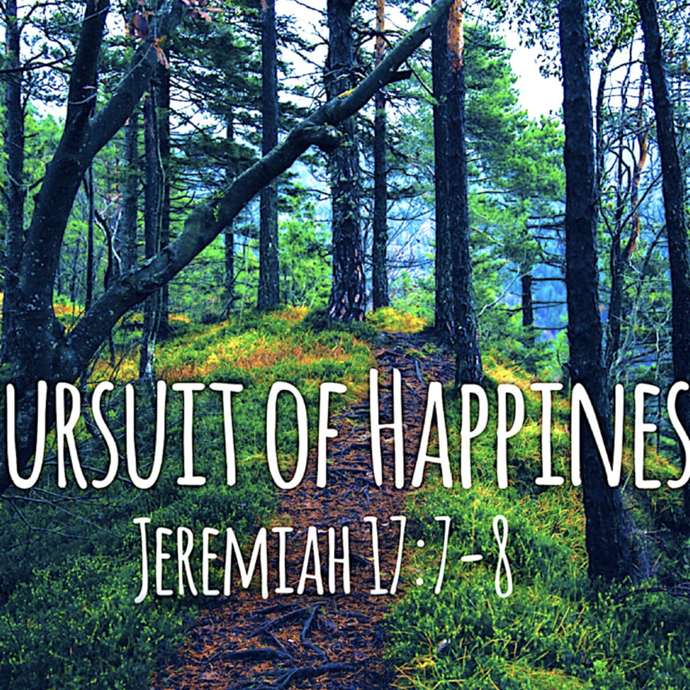 Pursuit of Happiness
