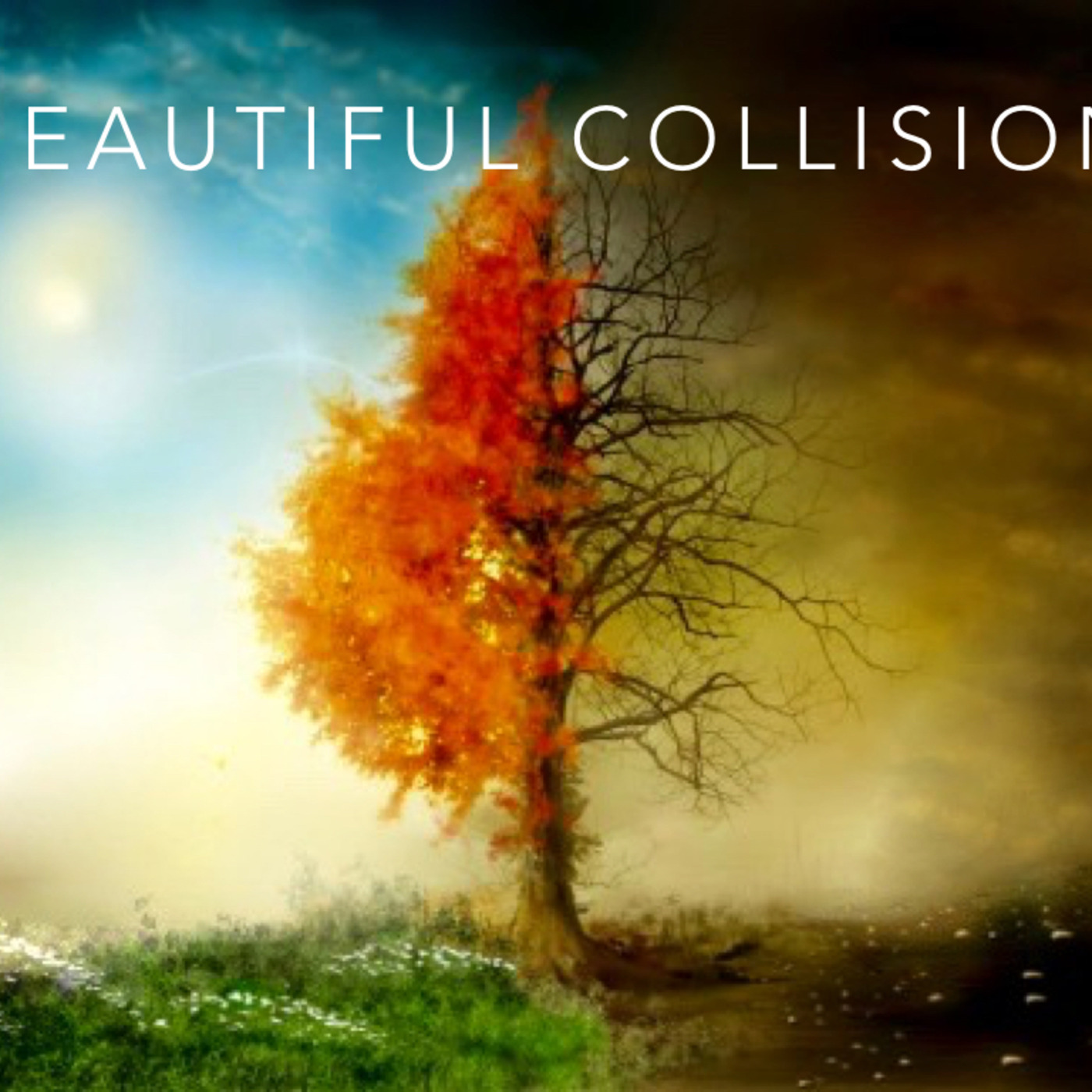 Beautiful Collision: 3 Tradition & Culture