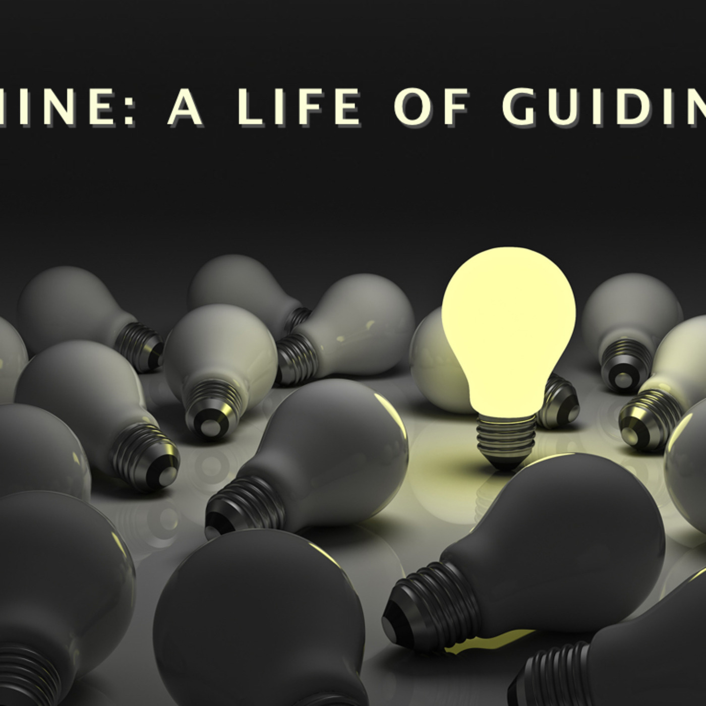 Shine: A life of guiding