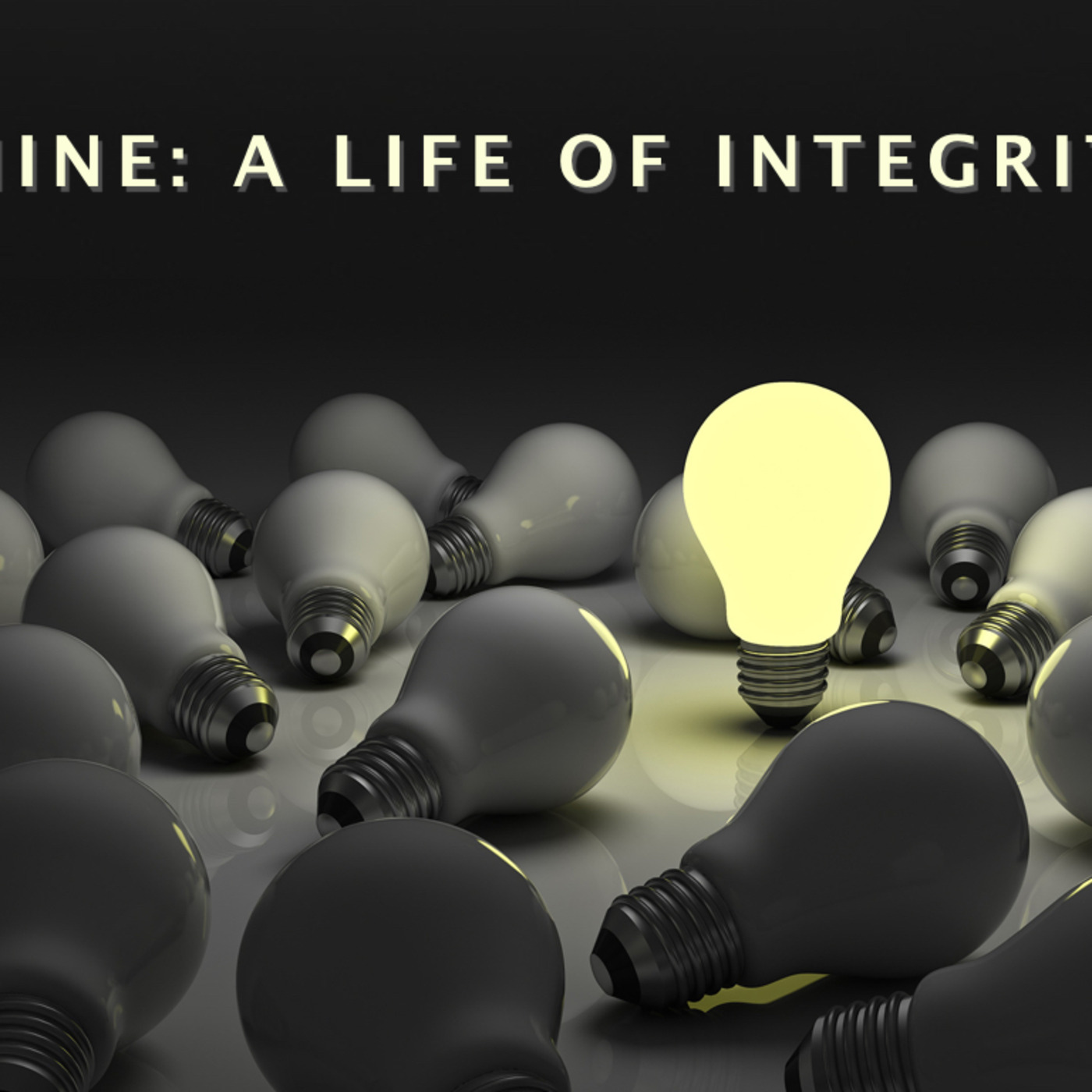 Shine A Life of Integrity