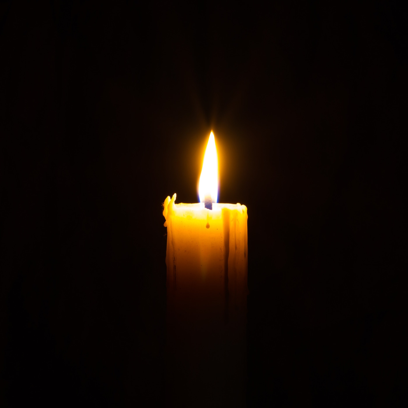 Silent Nights