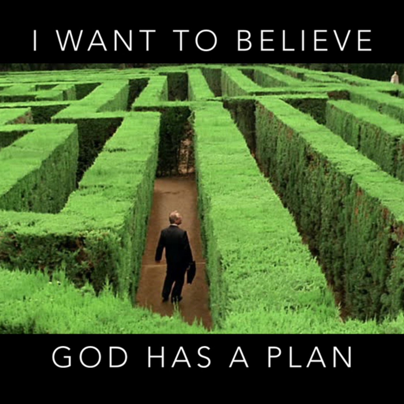 I want to believe: God has a plan