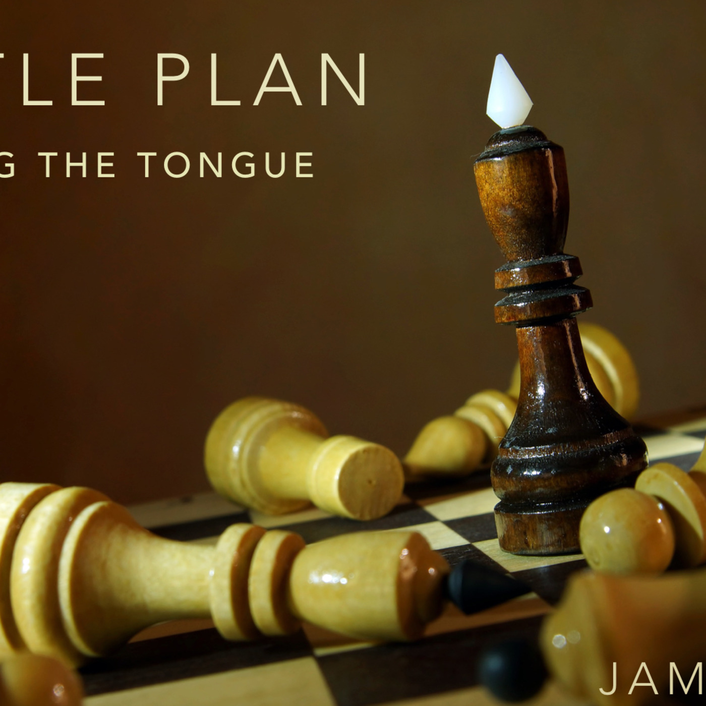 Battle Plan: Taming the Tongue