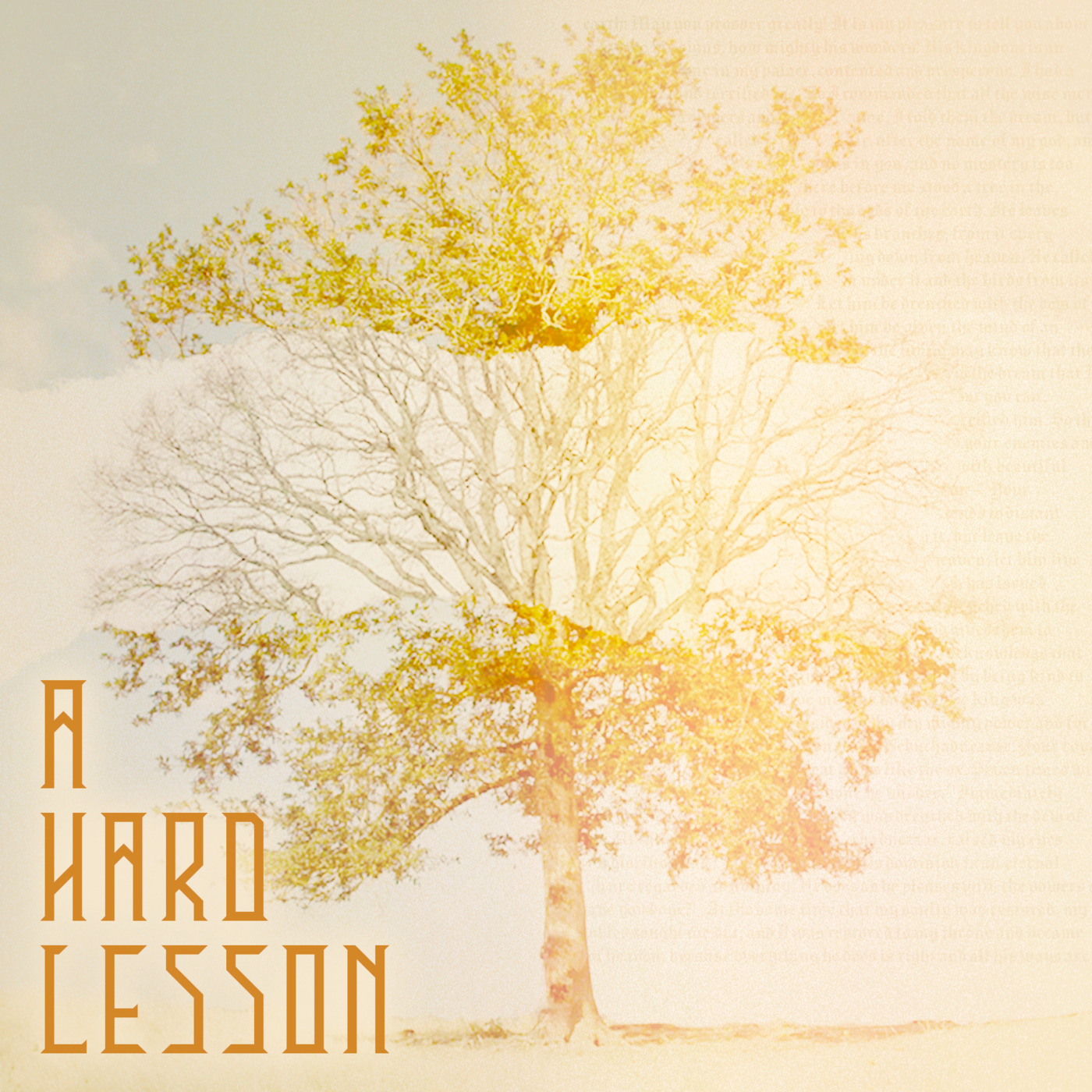 A Hard Lesson