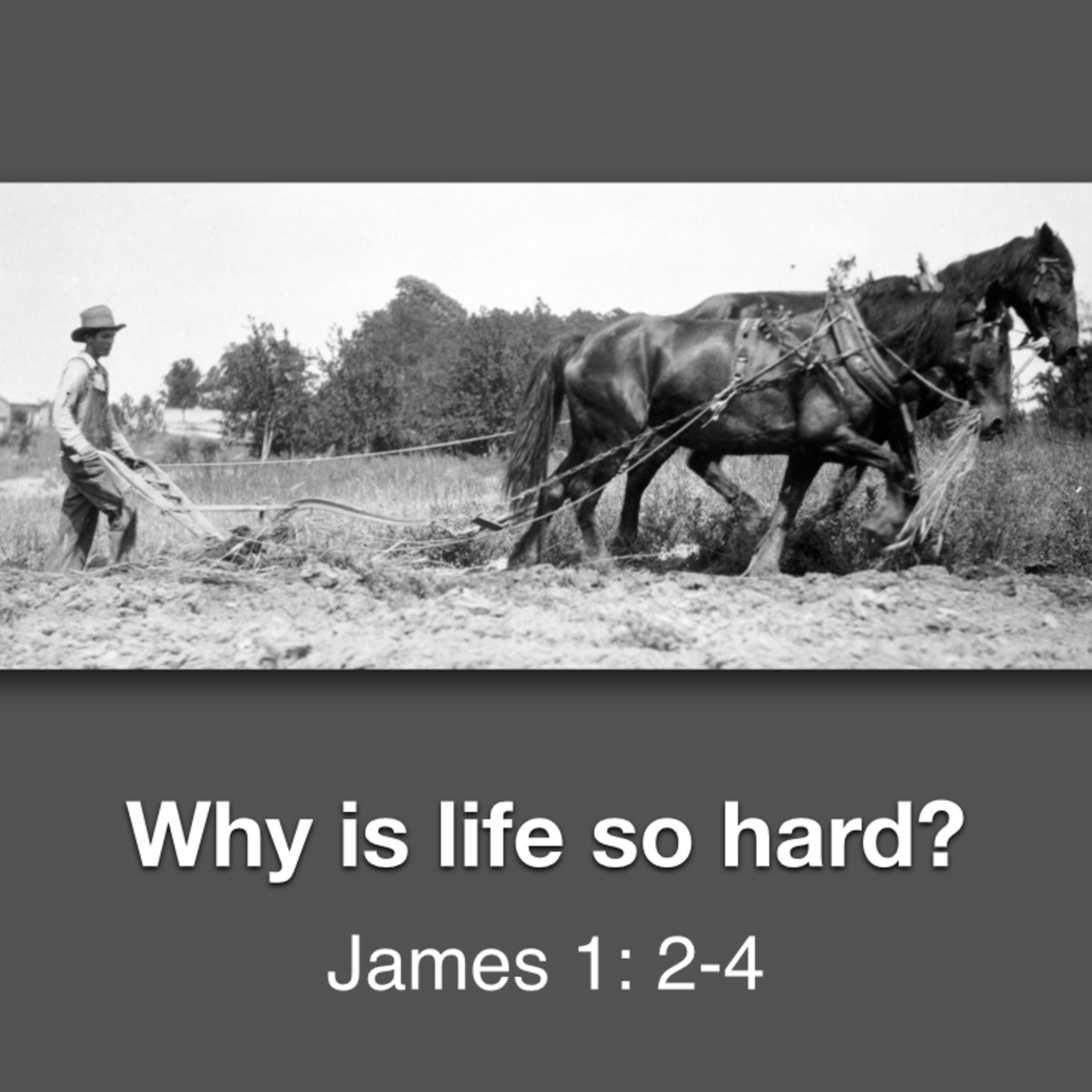 Why Is Life So Hard