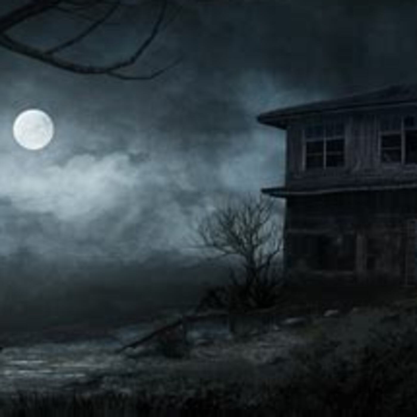 Night Creatures