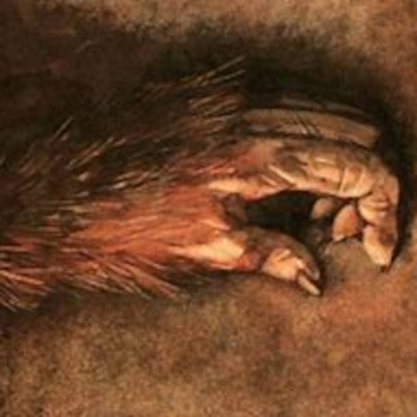 The Monkey's Paw