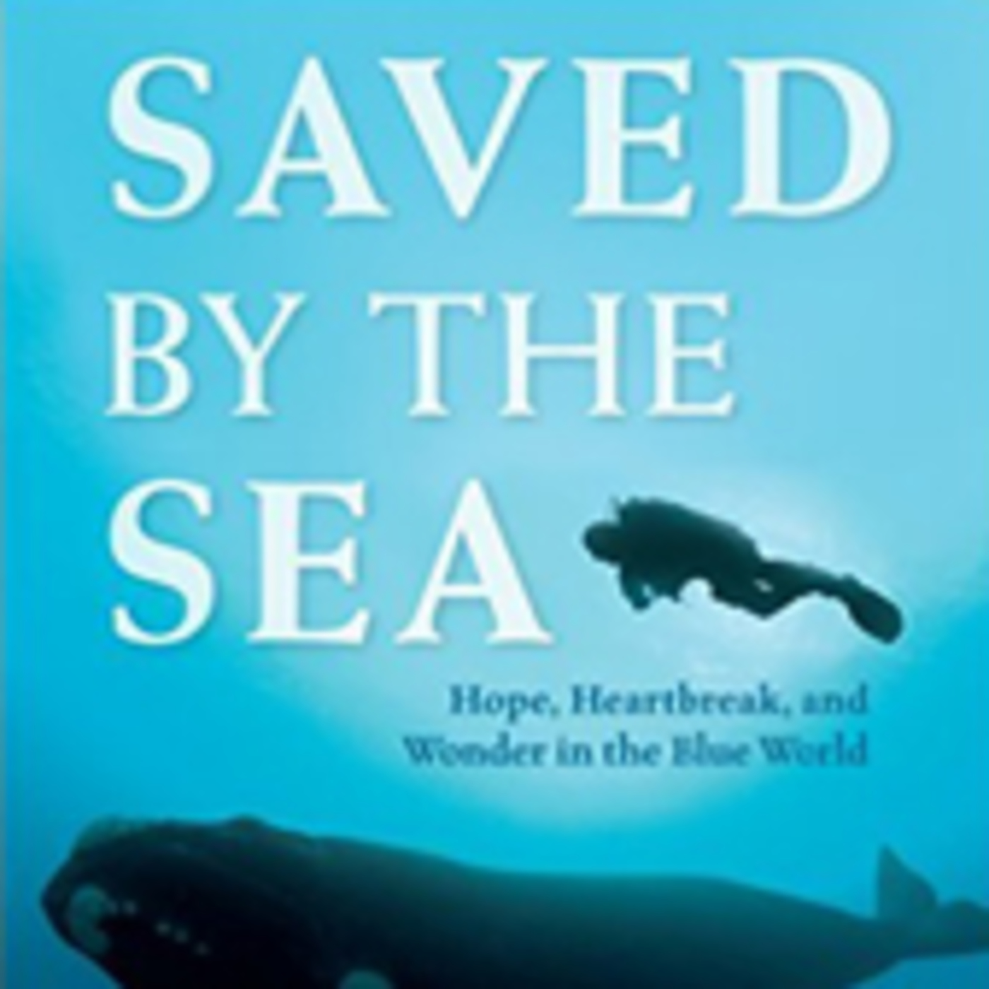 Relationships 2.0 With Dr. Michelle Skeen