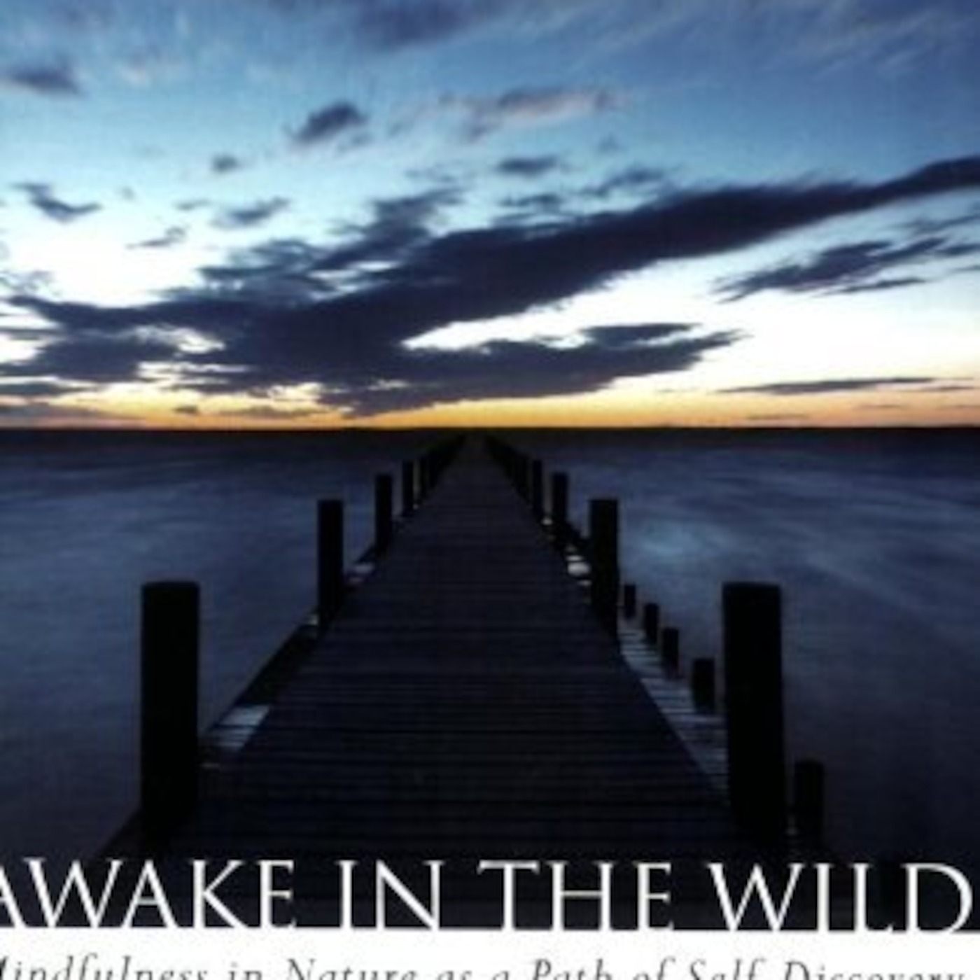 Guest: Mark Coleman author of Awake in the Wild: Mindfulness in Nature as a Path of Self-Discovery