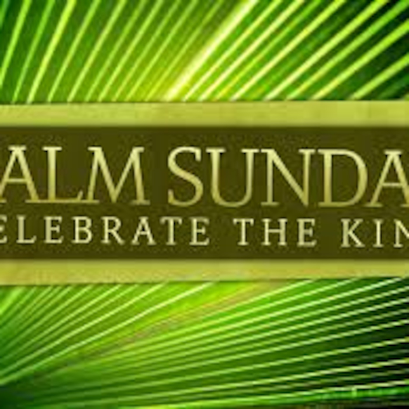Palm Sunday: Will you welcome Him?