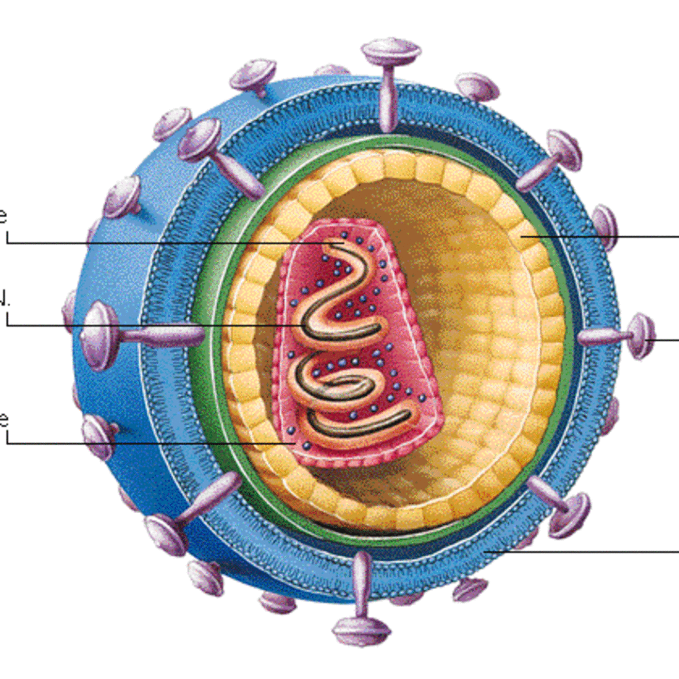 EL SIDA II