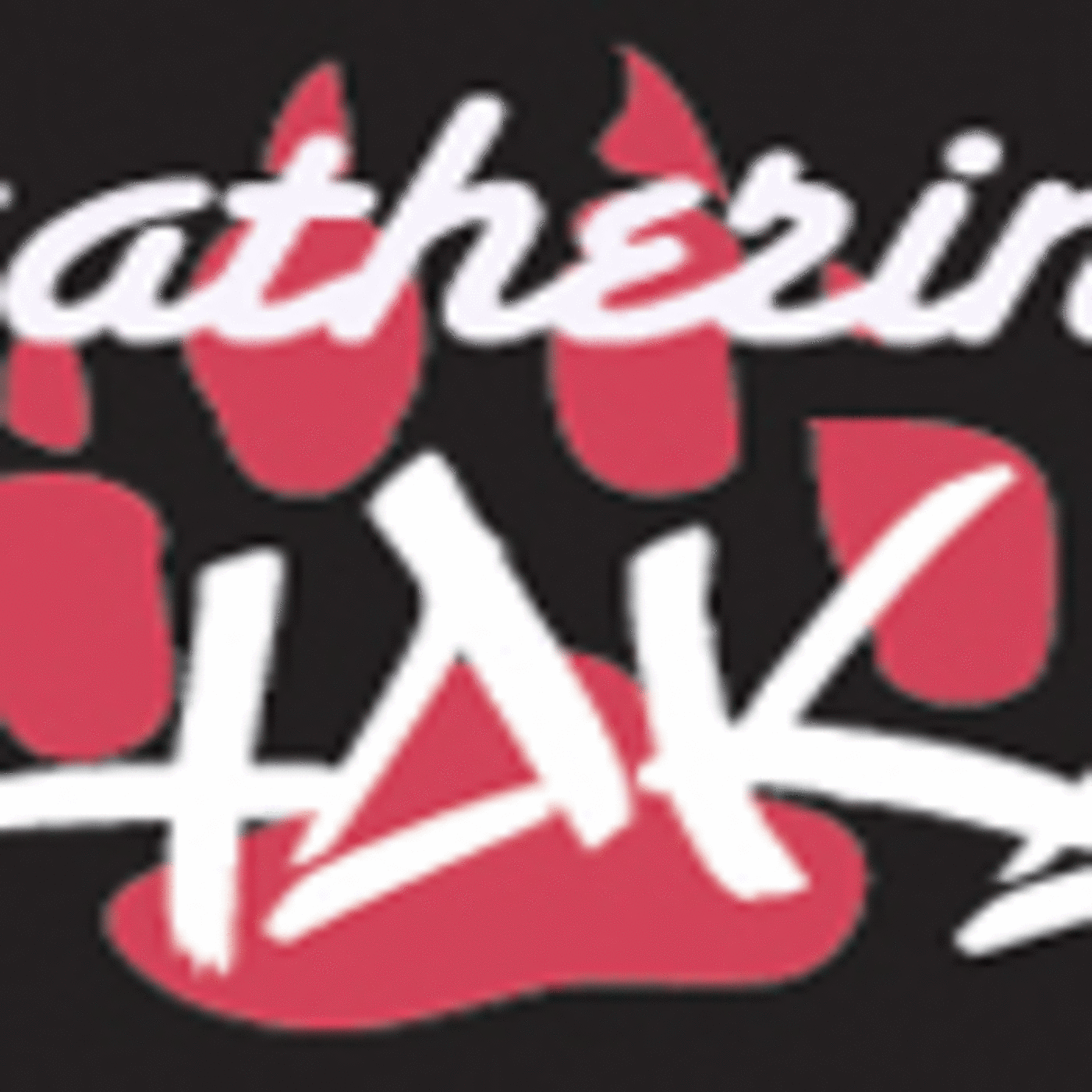 trickzfr: Sampler Chakal gathering 1 episode artwork