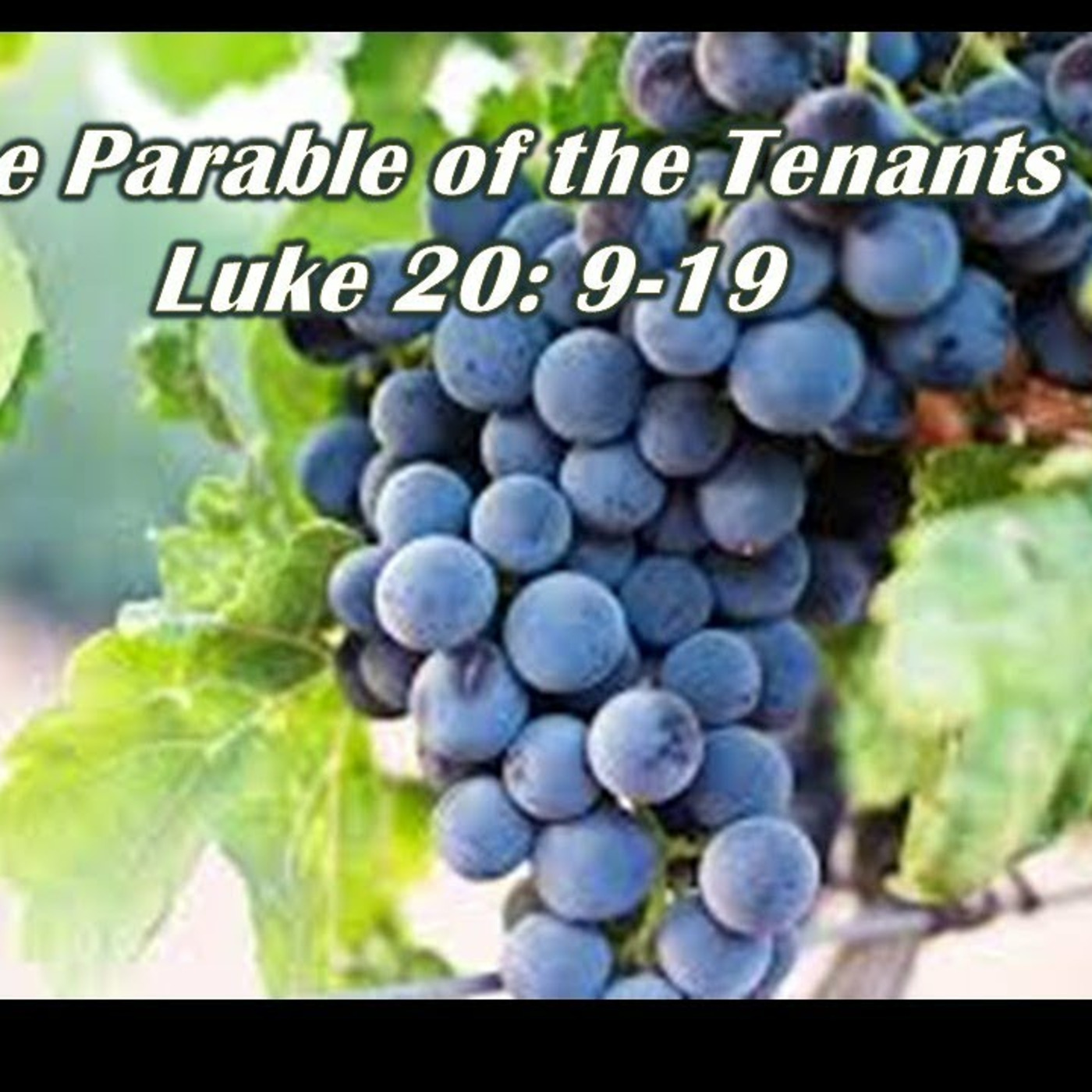 Episode 159: Luke 20:9-19, Parable of the Tenants, 7.2.23 episode artwork