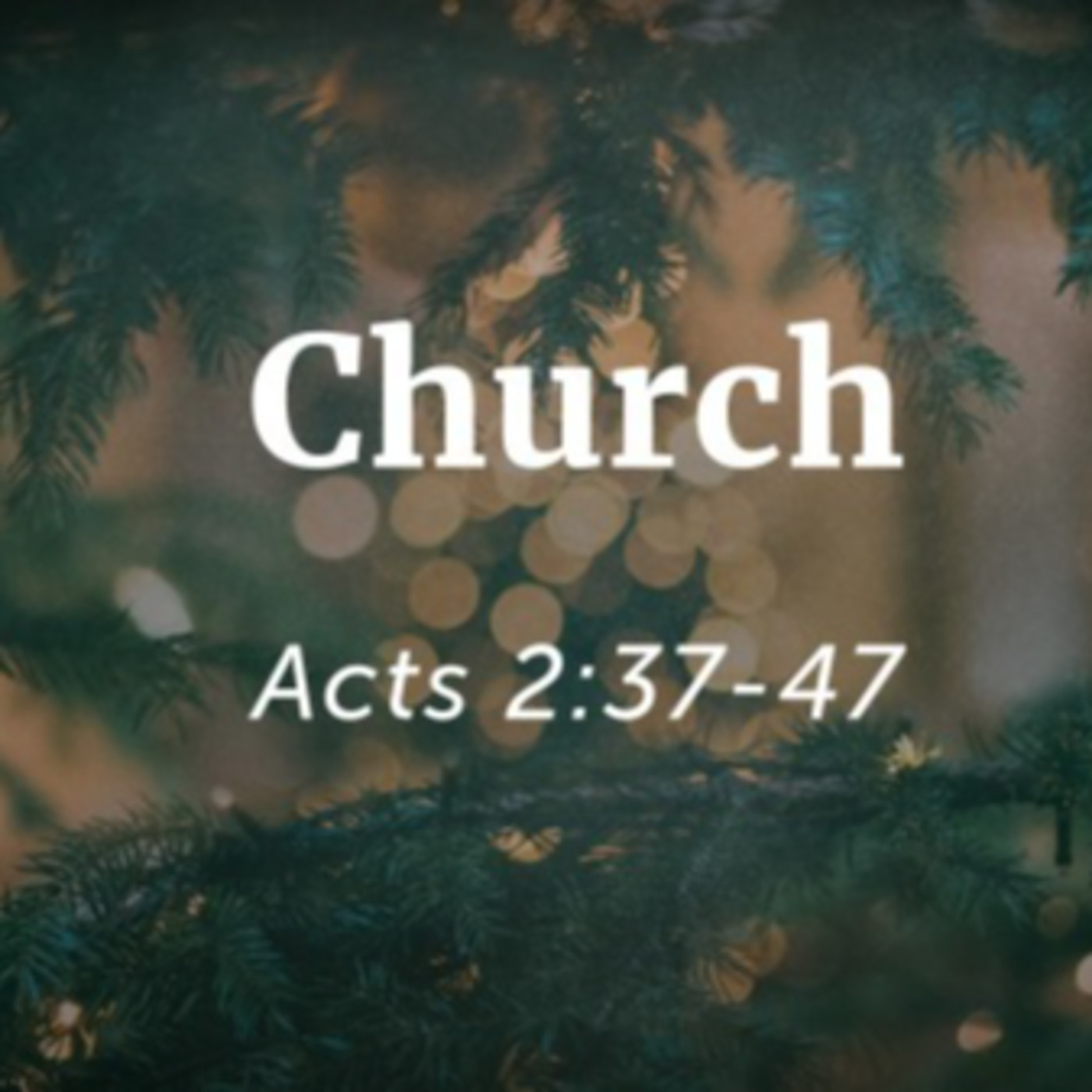 Episode 184: Acts 2:37-47, The Results of God's Spirit at Work, 12.31.23 episode artwork