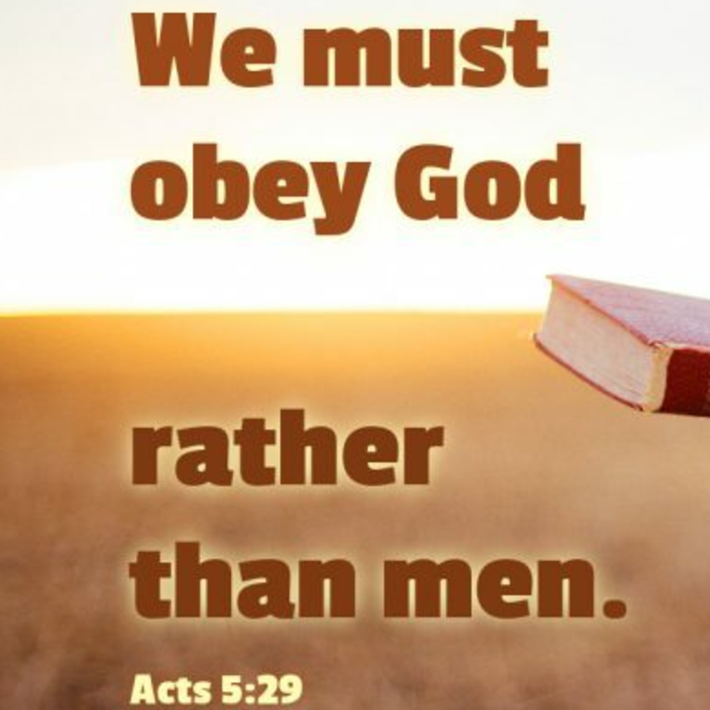 Episode 190: Acts 5:27-42, What Can We Learn? 2.11.24 episode artwork