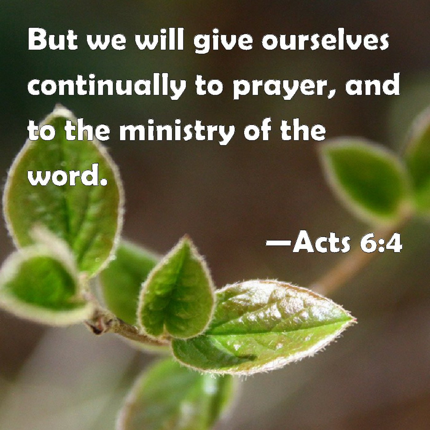 Episode 191: Acts 6:1-6, A Possible Cultural Divide is Avoided, 2.18.24 episode artwork