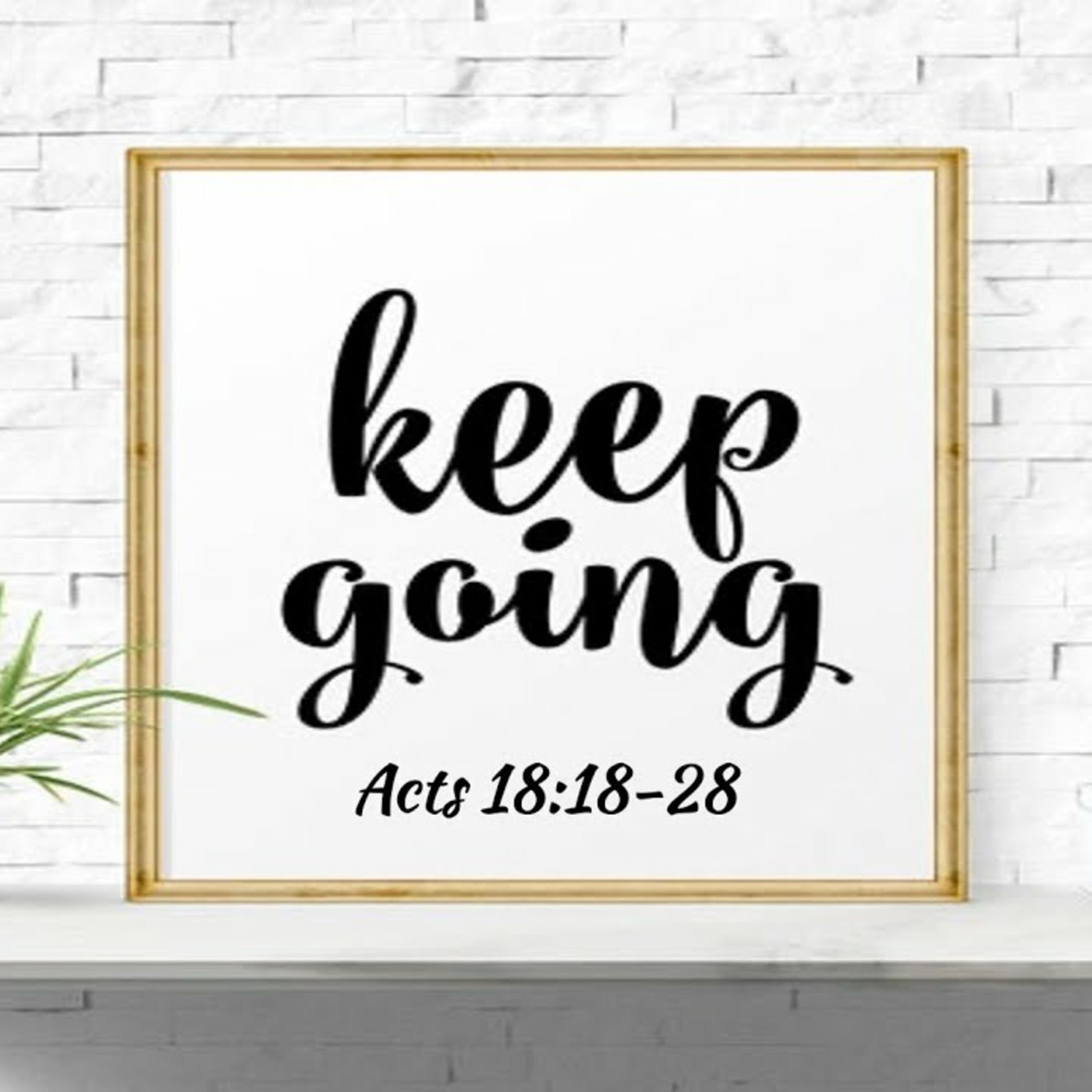 Episode 220: Acts 18:18-28, The Gospel Moment, 9.8.24 episode artwork