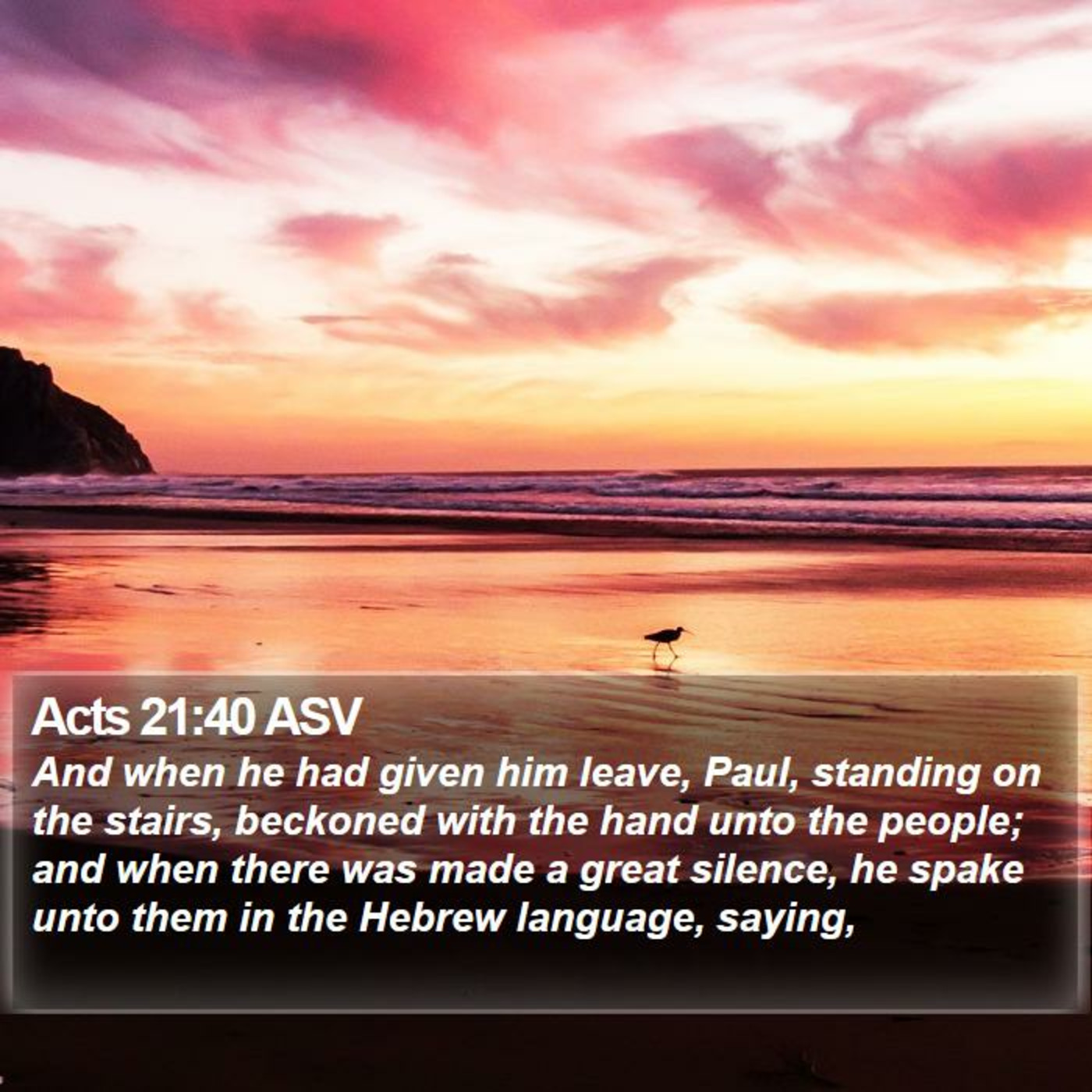 Episode 230: Acts 21:37-22:22, The Testimony to the Jews in the Temple, 11.24.24 episode artwork
