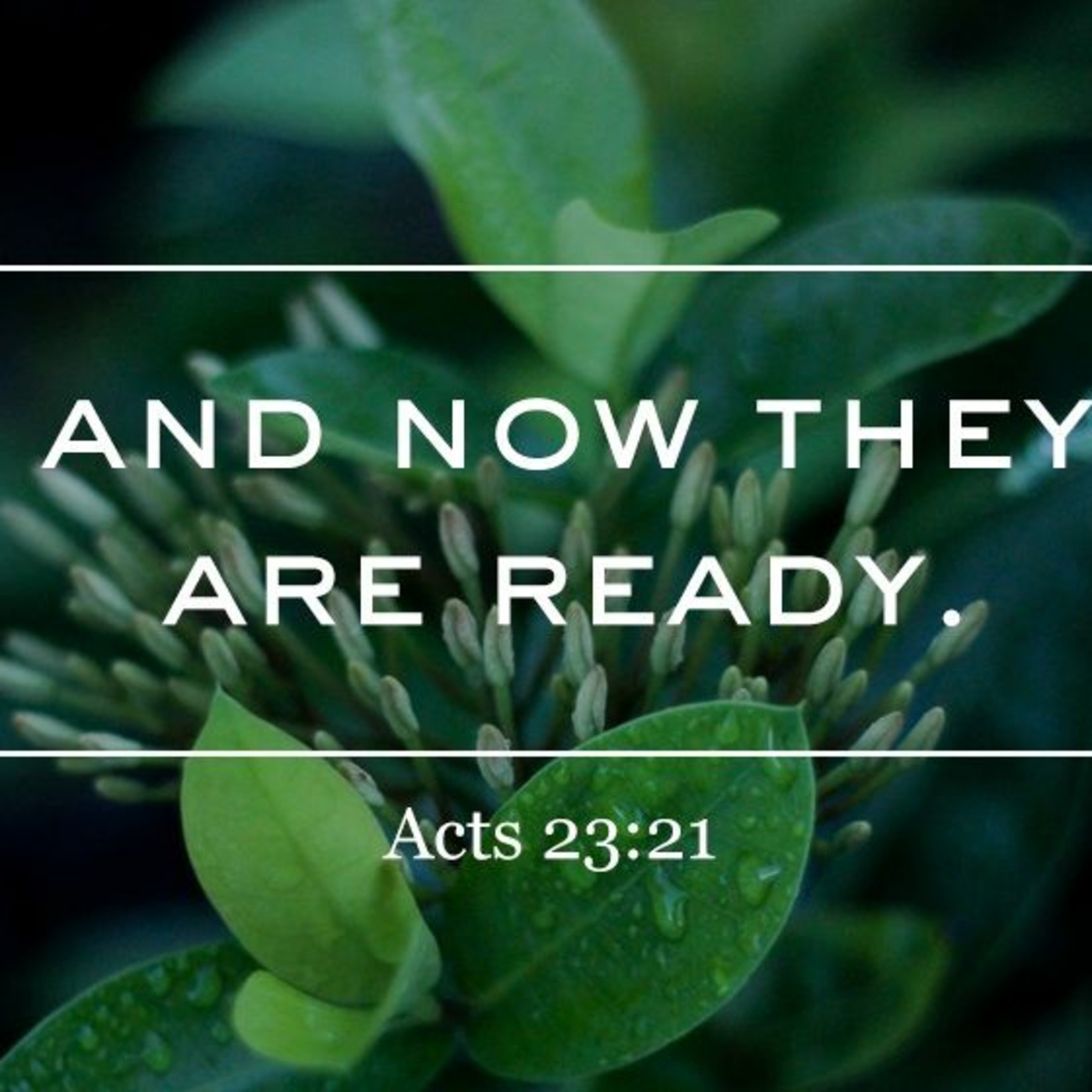 Episode 232: Acts 23:12-35, Seeing God's Sovereignty in the Gospel, 12.8.24 episode artwork