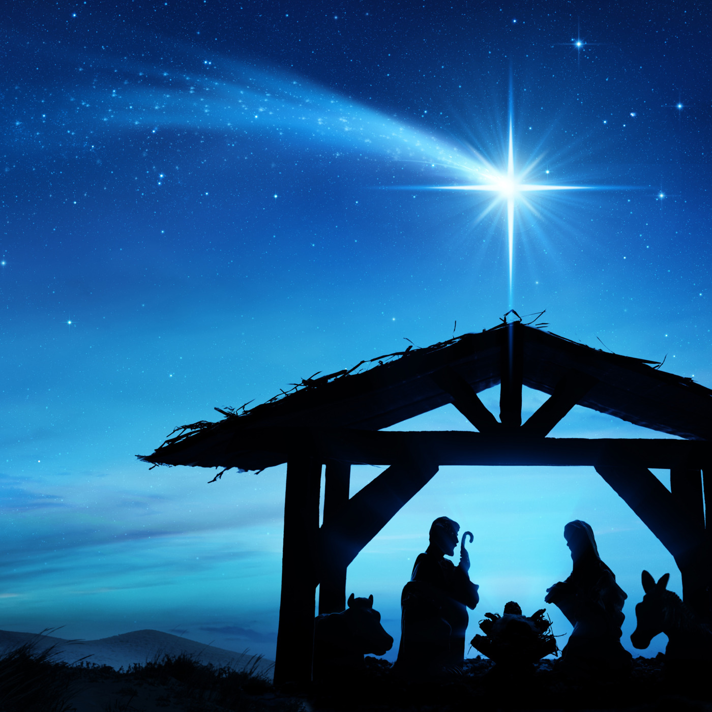 Episode 233: The Message of Peace on Earth During the Christmas Season!!, 12.15.24 episode artwork