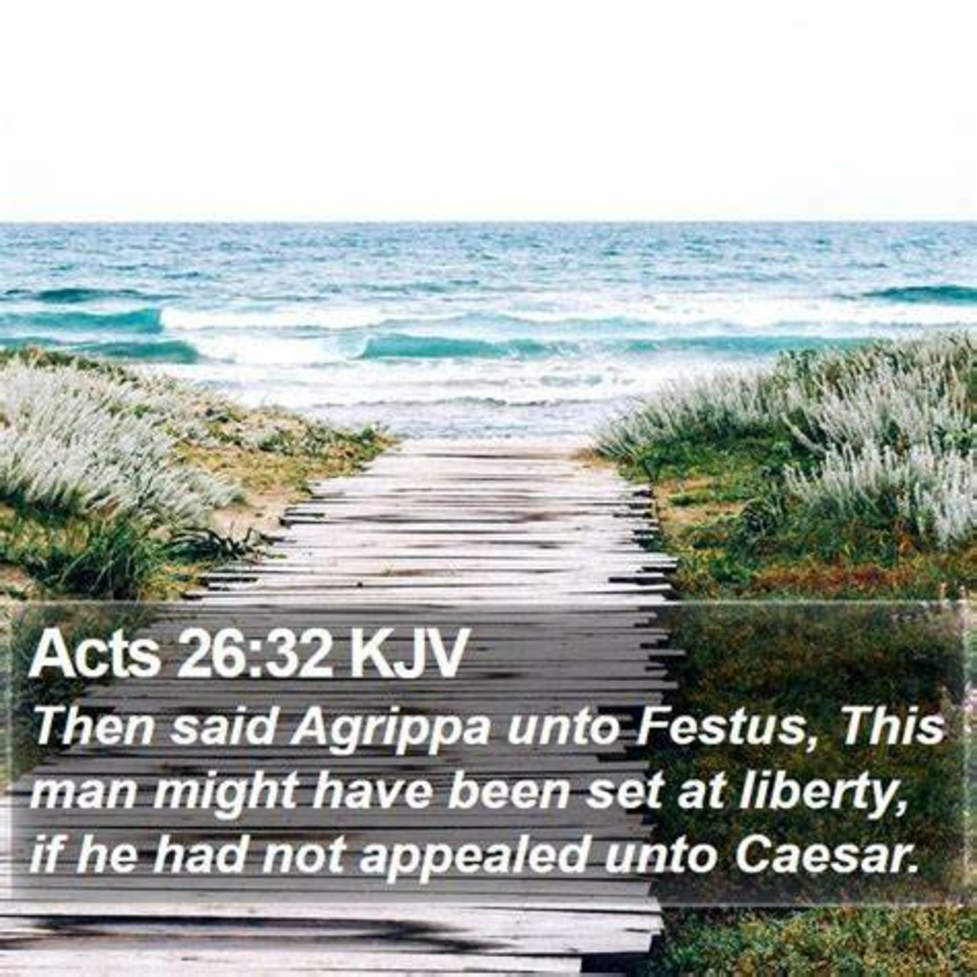 Episode 238: Acts 25:23-26:32, Paul's Evangelism, 2.2.25 episode artwork