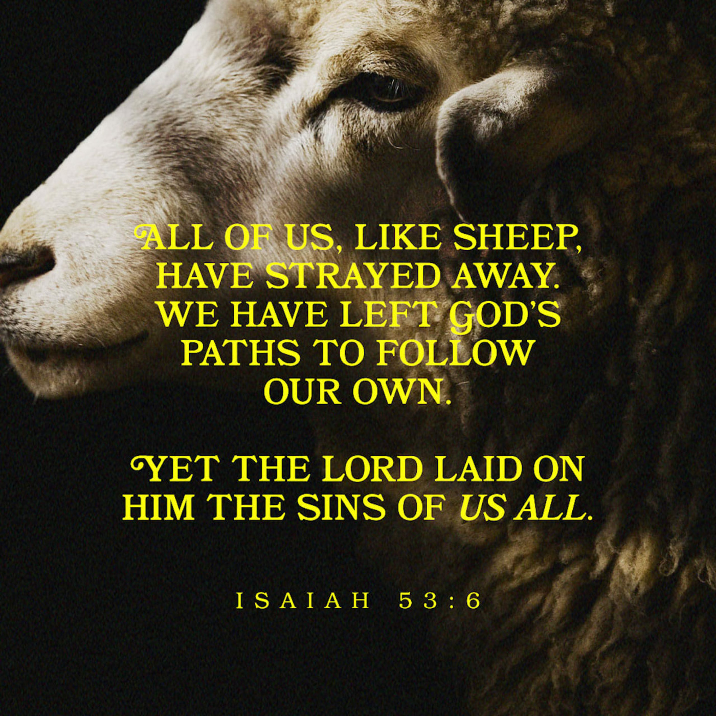 Episode 248: Isaiah Speaks About the Servant of God, Is. 49:1-6; 50:4-9; 52:13-52:12, 4.13.25 episode artwork
