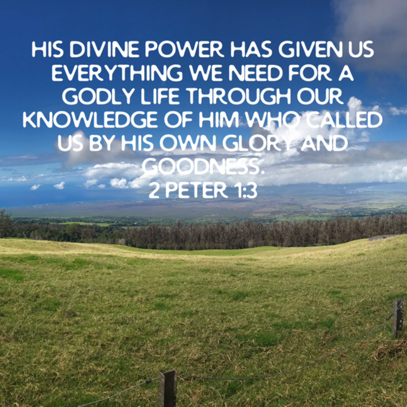 Episode 255: 2 Peter 1:3-12, An Eye Exam (An I Exam), H. Goossen, 6.1.25 episode artwork