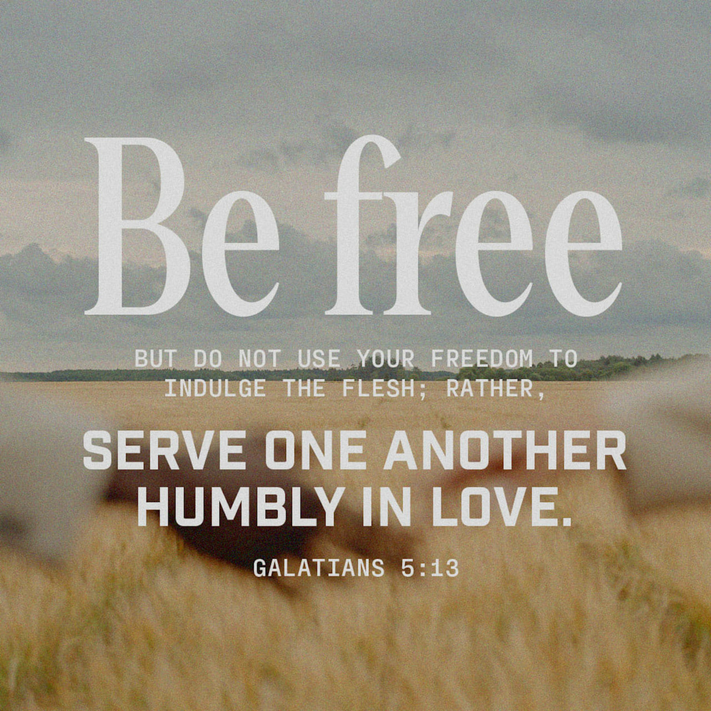 Episode 267: Galatians 5:13-15, Romans 6:1-14, Living Out in Freedom as a Christian, 8.24.25 episode artwork