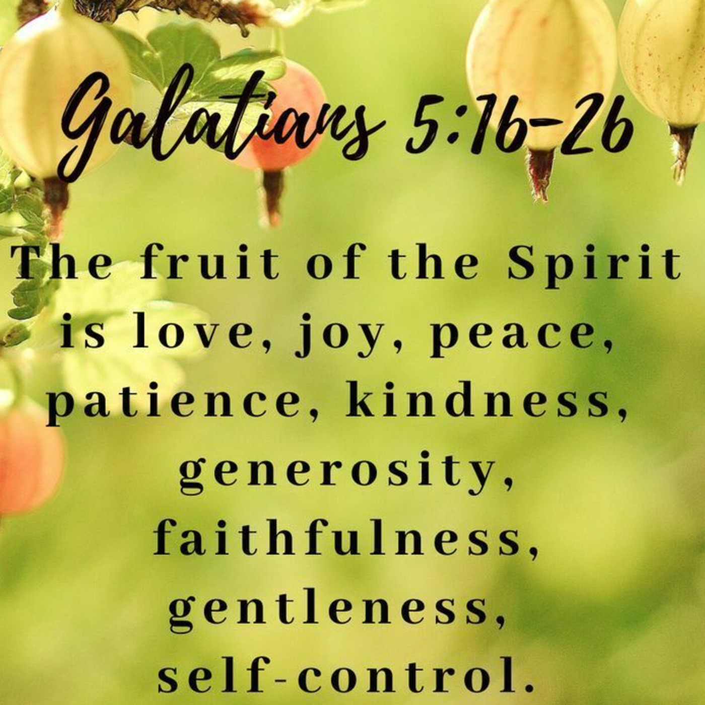 Episode 269: Gal. 5:16-26, Walk by the Spirit Not the Flesh, 9.7.25 episode artwork