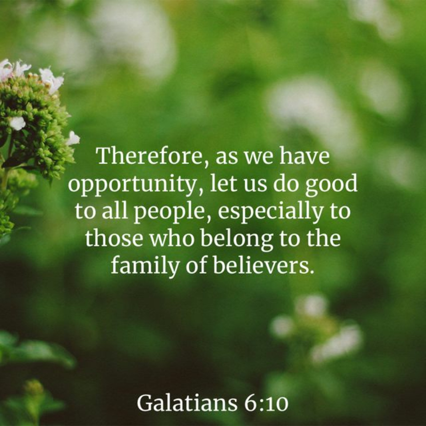 Episode 271: Galatians 6:6-10, Further Application of Walking by the Spirit, 9.21.25 episode artwork