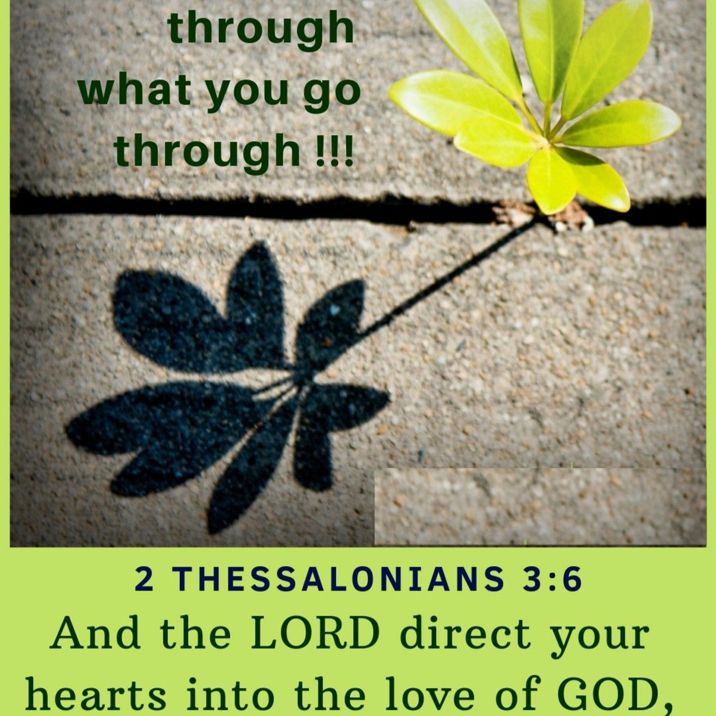 Episode 316: 2 Thess. 3:6-9, Christianity is Not Unruly, Pt. 1, 8.9.26 episode artwork