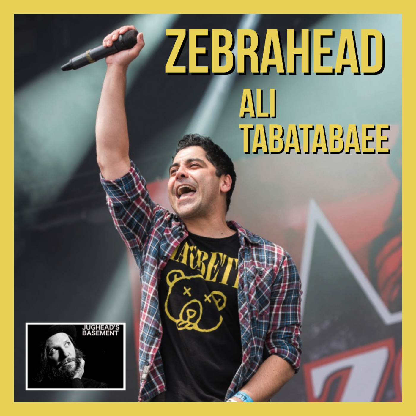Episode 103: Episode 103: Ali Tabatabaee of Zebrahead on LoFi Interviews with HiFi Guests