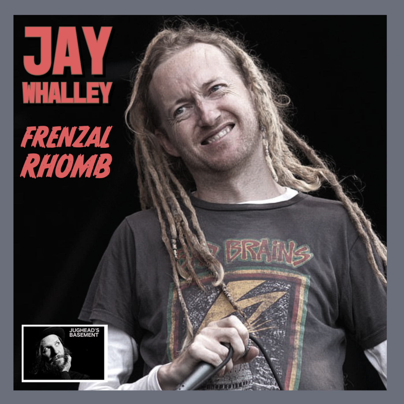 Episode 168: Episode 168: Jay Whalley of Frenzal Rhomb on LoFi Interviews with HiFi Guests