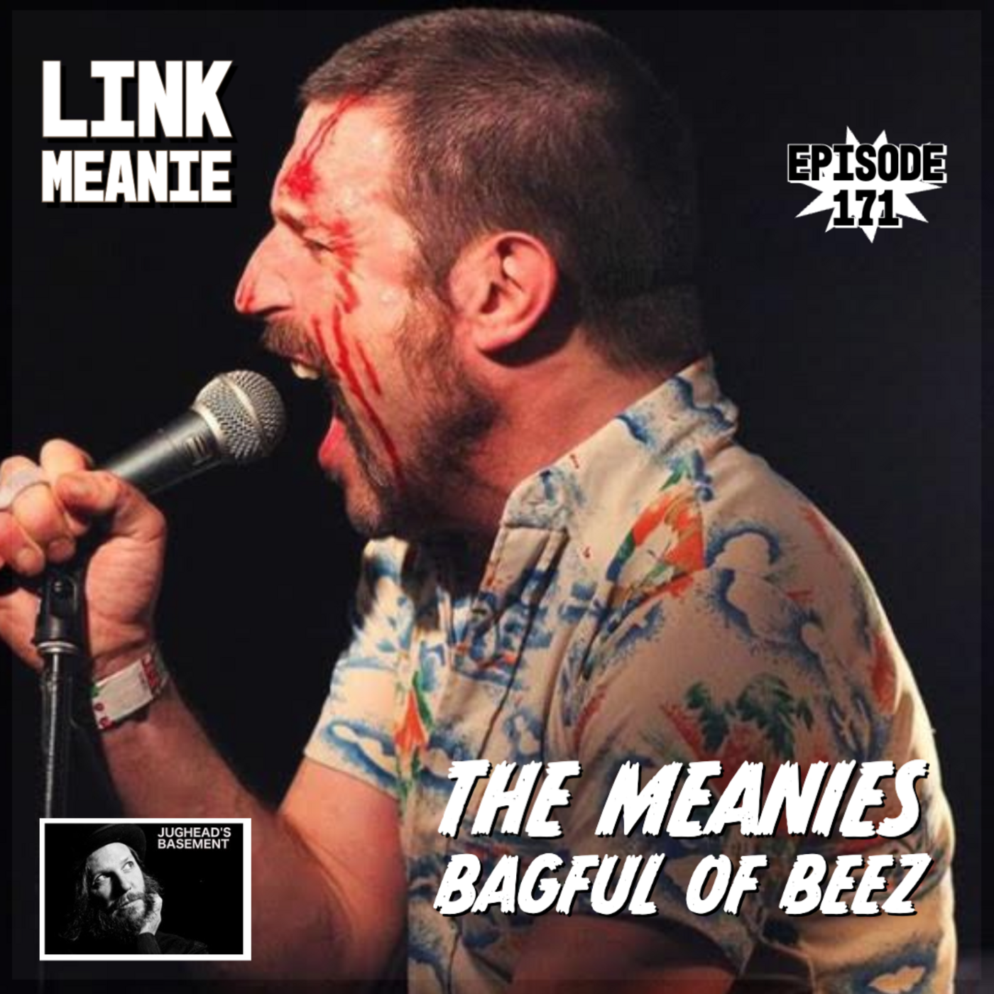 Episode 171: Episode 171: Link Meanie of The Meanies and Bagful Of Beez on LoFi Interviews with HiFi Guests