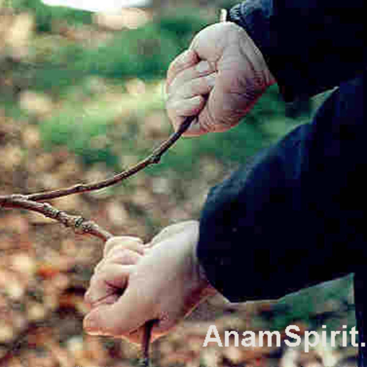 Divining Course Intro