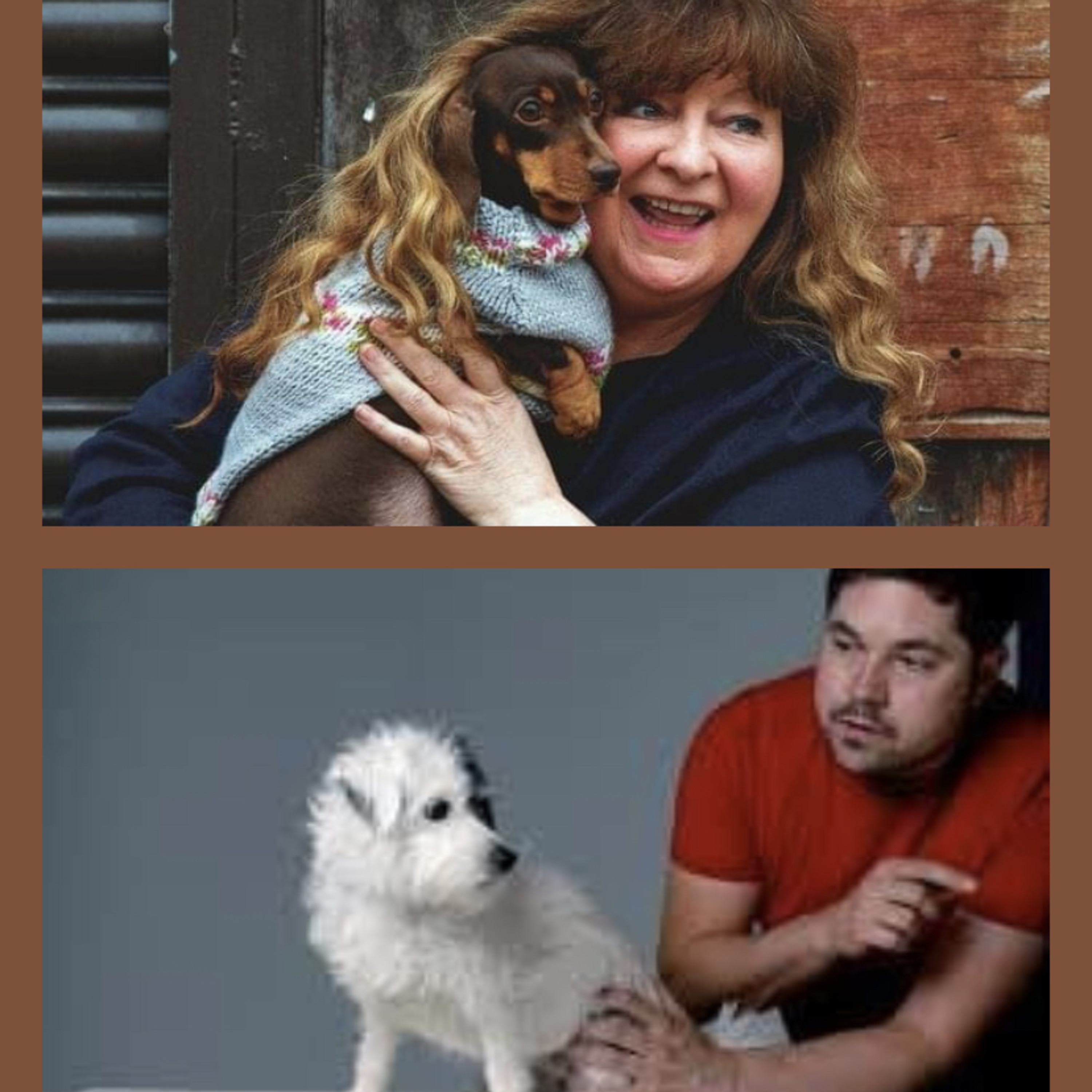 itunes pic
