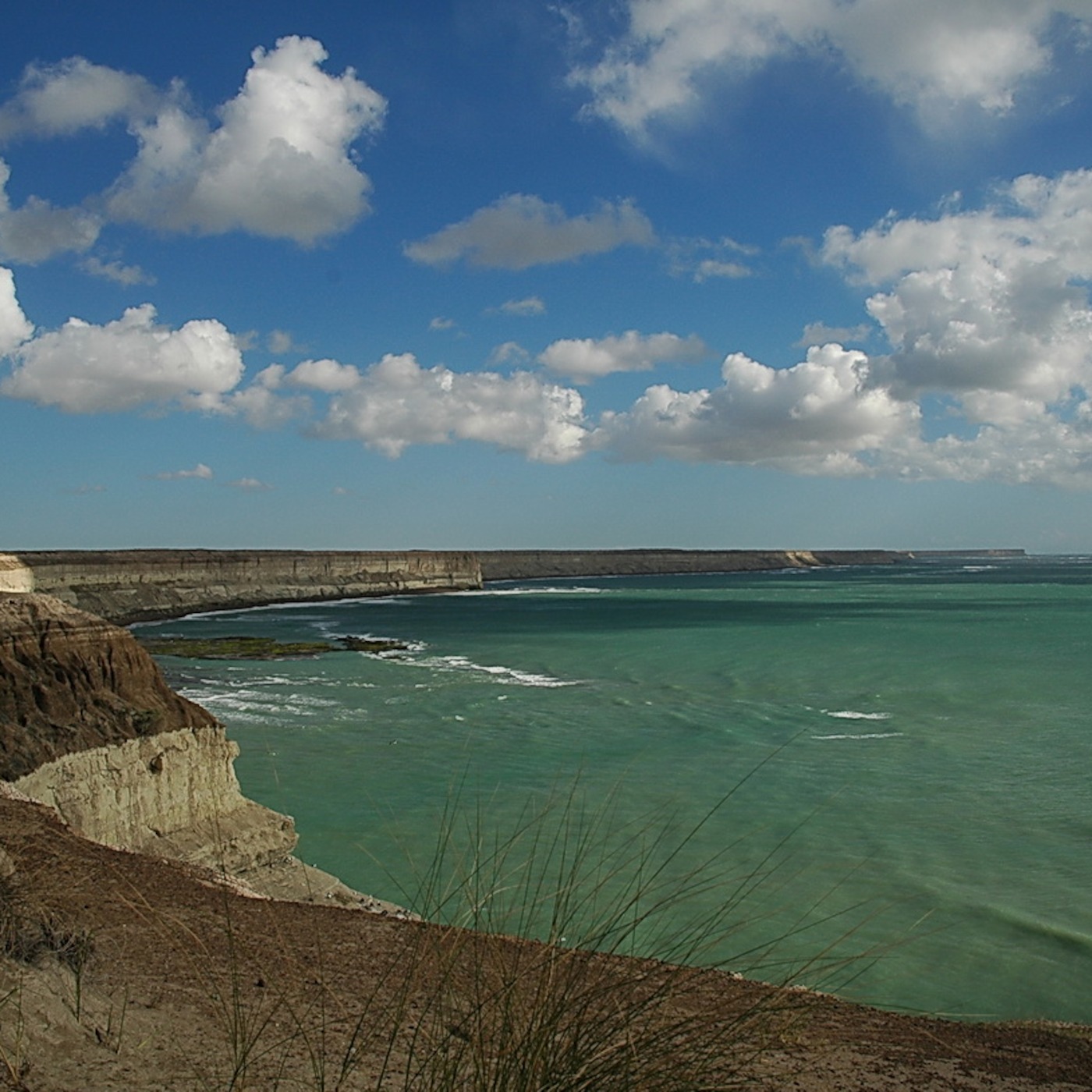 UICN-Sur