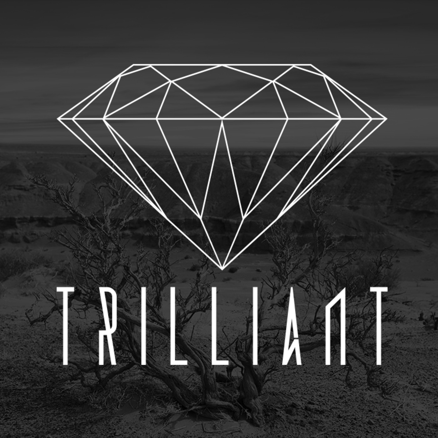 Trilliant's Podcast