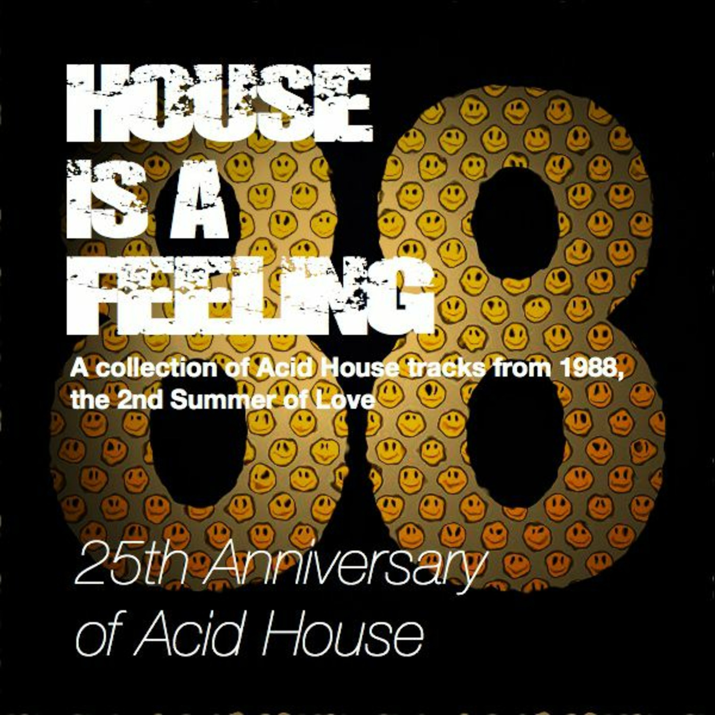 House Is A Feeling, Acid House Anniversary Episode