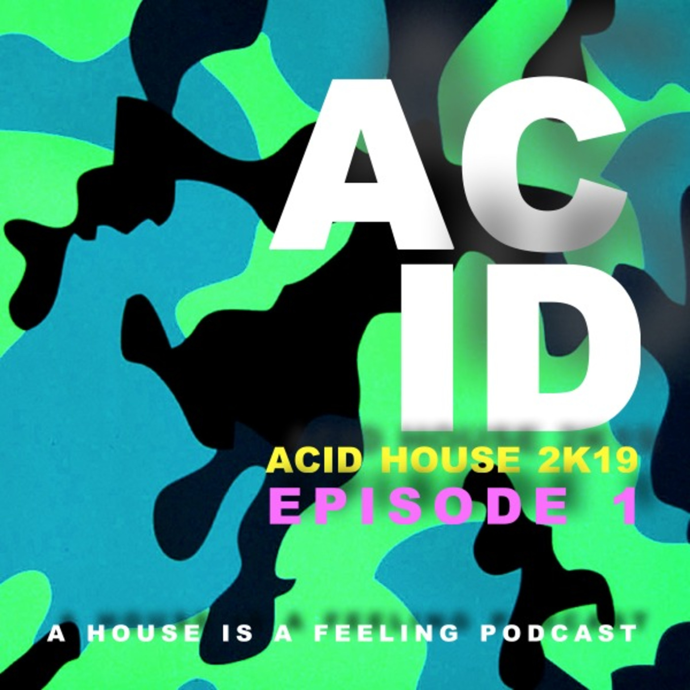 House Is A Feeling