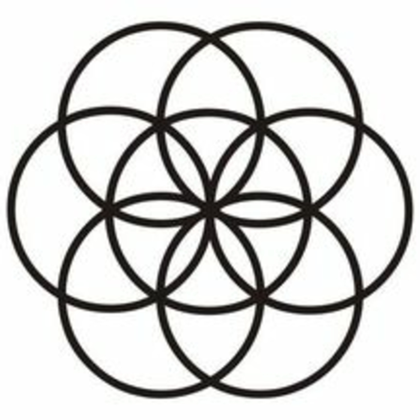 The Experience Podcast