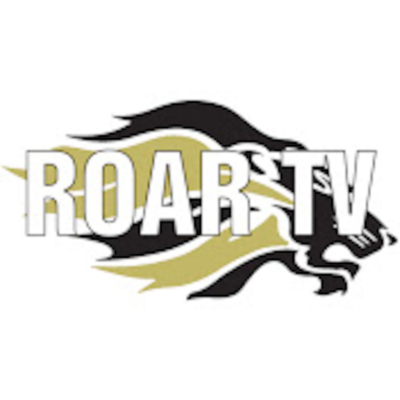 RTV Podcasts