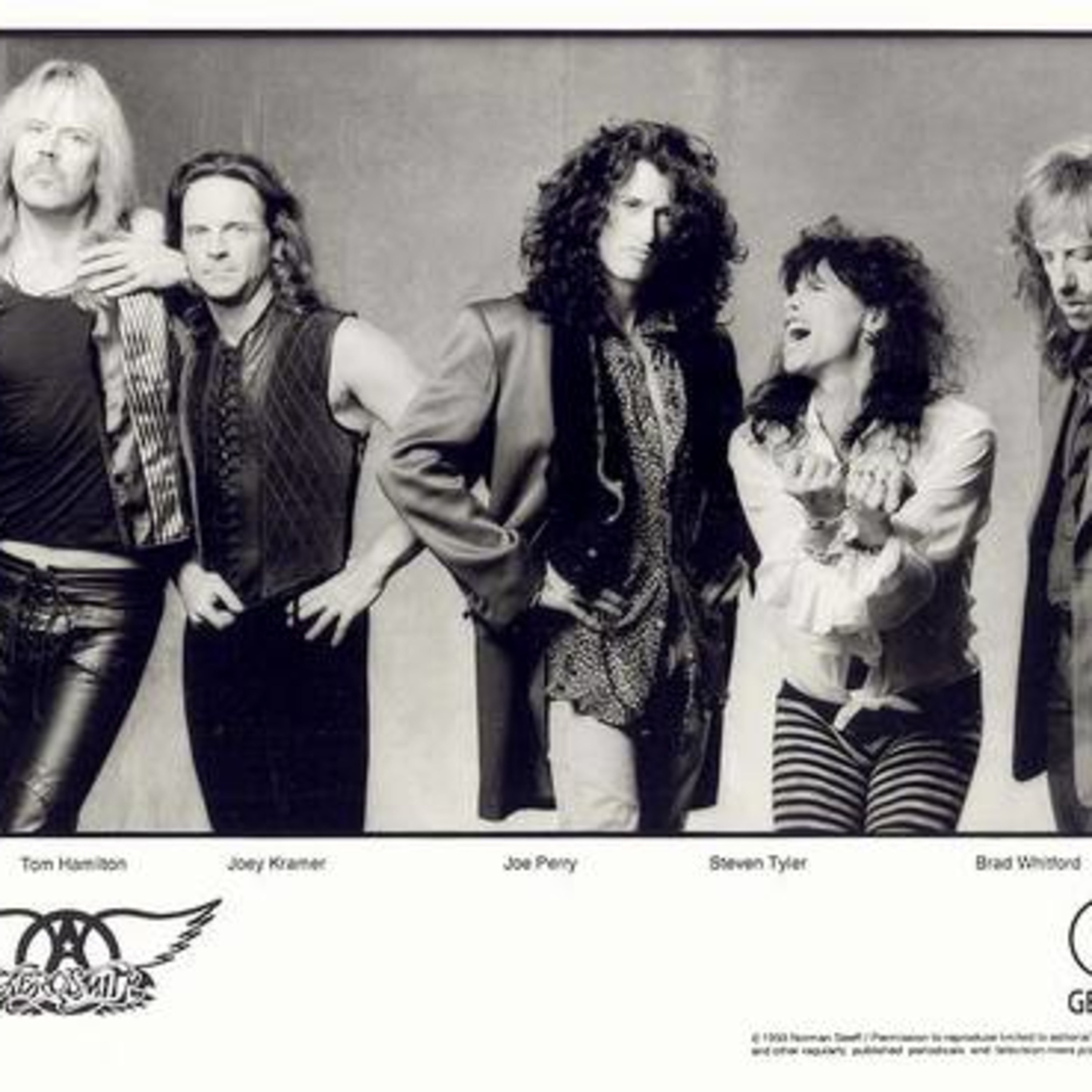 Amazing  **Aerosmith** episode artwork