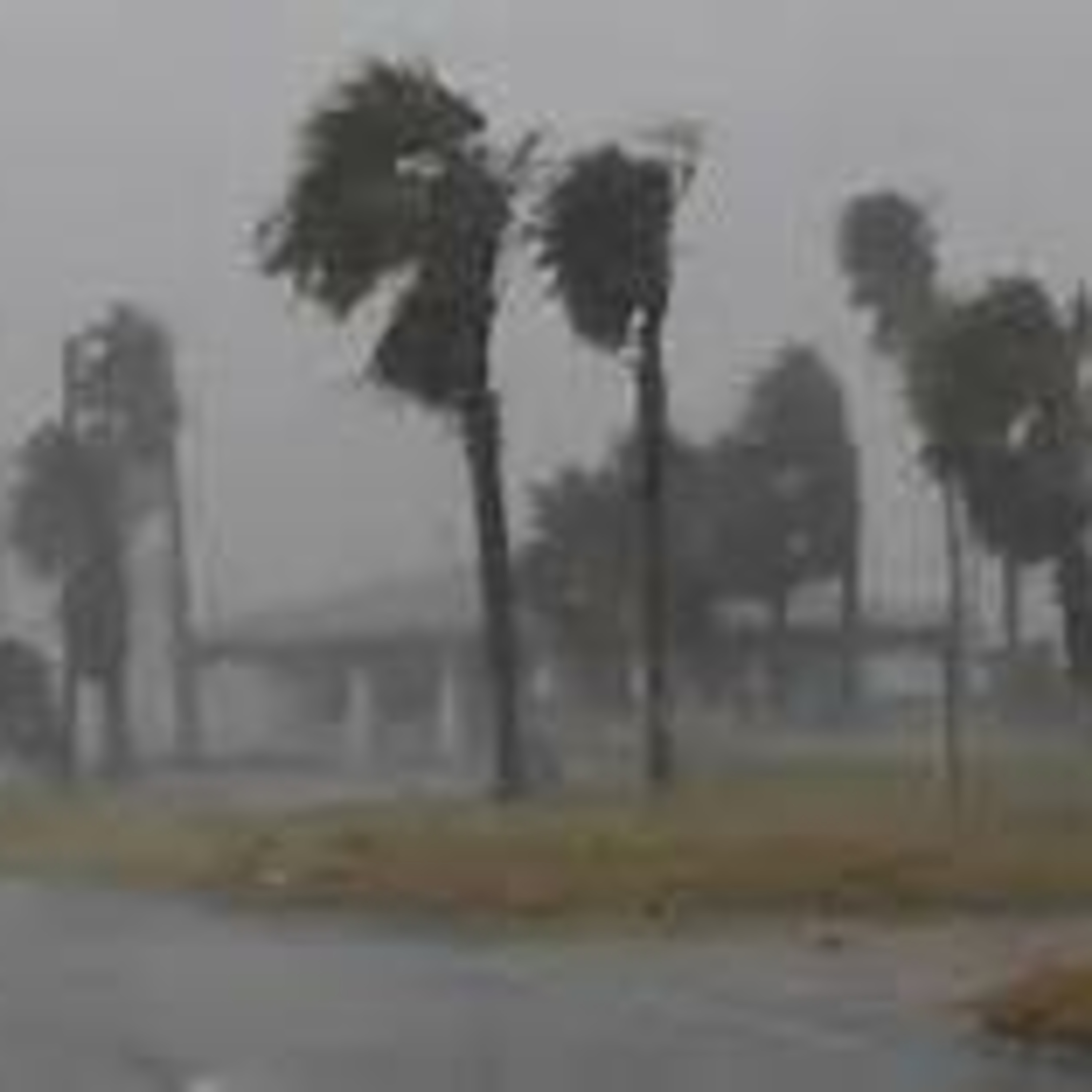 The Jedislander Podcast