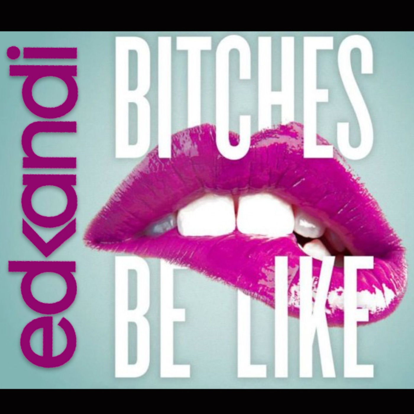 Bitches Be Like episode artwork
