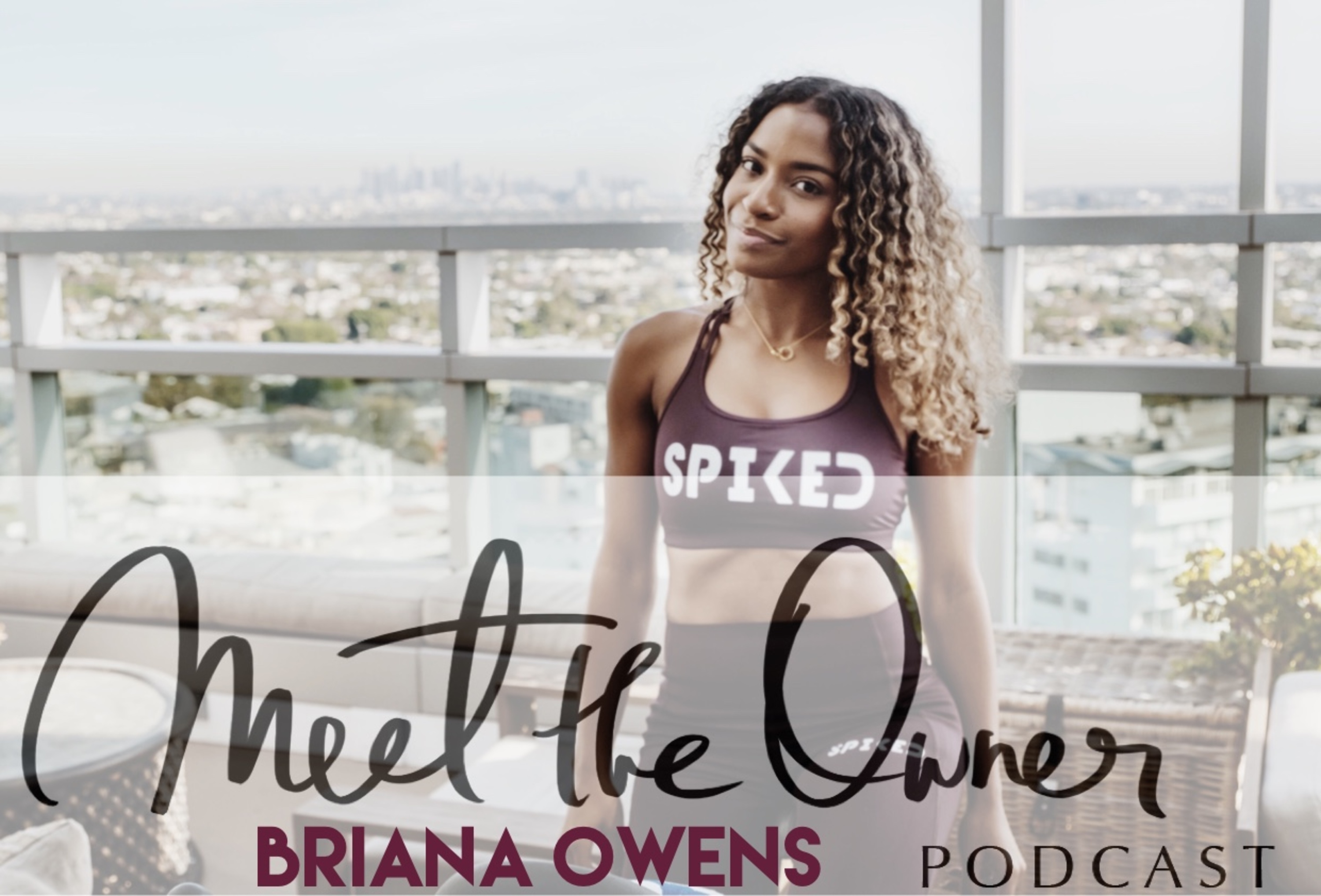 Meet the Owner Podcast