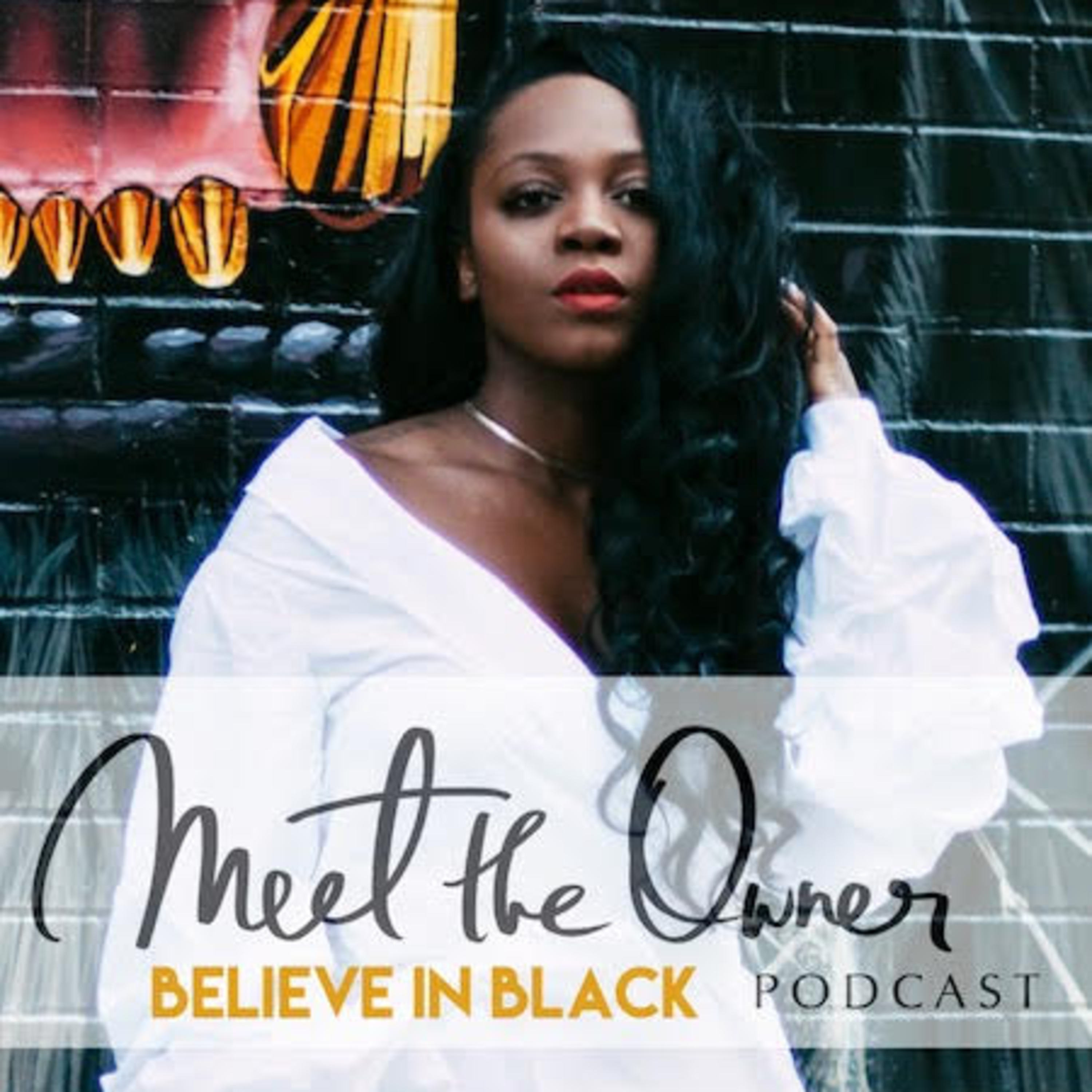 Meet the Owner Podcast