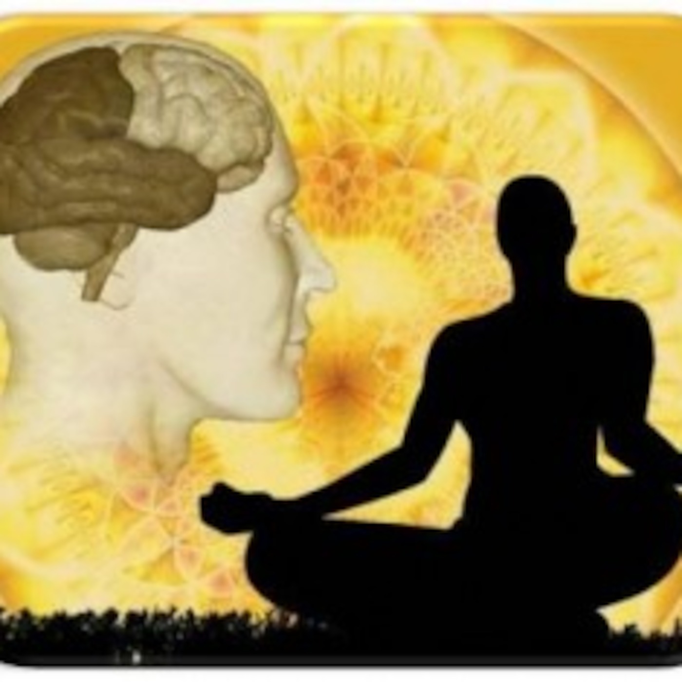 Red De Apoyo Para Victima de Sectas