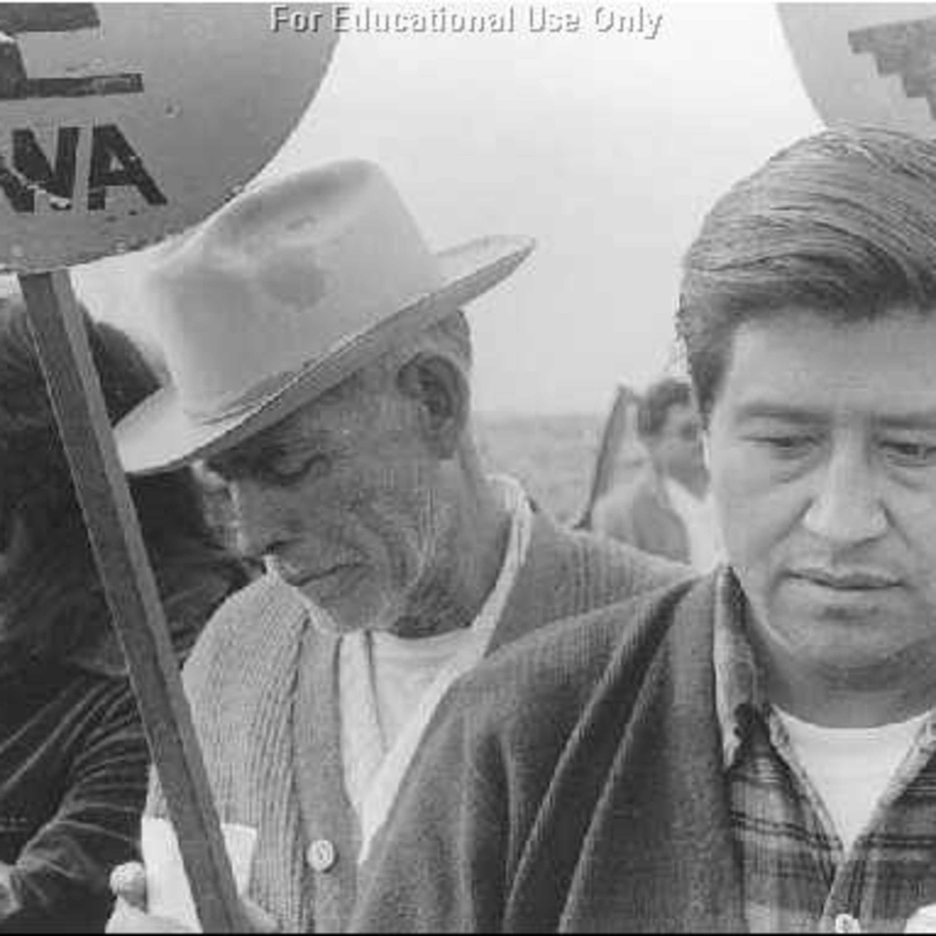 Soy Cesar Chavez! episode artwork